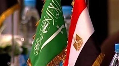 خبير سياسي: العلاقات المصرية السعودية ركيزة أساسية للاستقرار الإقليمي