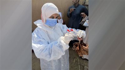 سحب أكثر من 9 آلاف عينة ضمن برامج التقصي النشط ورفع الجاهزية الصحية للثروة الداجنة