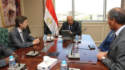 وزير الكهرباء يبحث مع منظمة 