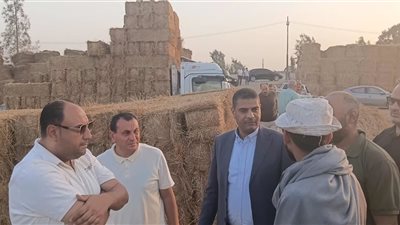 نائب محافظ الدقهلية يتفقد مواقع تجميع قش الأرز بالسنبلاوين