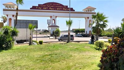 جهاز النوبارية الجديدة يواصل أعمال التشجير وزيادة الرقعة الخضراء بالمدينة