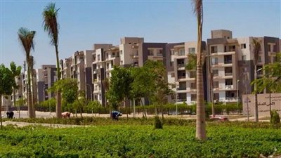 جهاز بدر يواصل أعمال الزراعة والتجميل بالمدينة