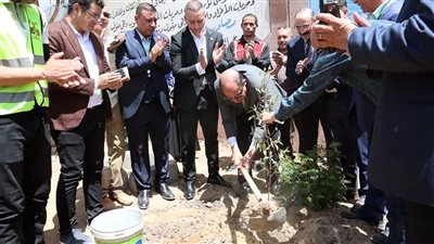 المنيا تتوسع في زراعة المساحات الخضراء بــ 42 ألف شجرة