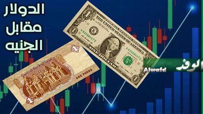 ننشر سعر الدولار مقابل الجنيه المصري اليوم الأحد 20 سبتمبر