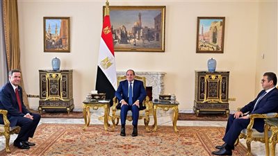 الرئيس السيسي يؤكد دعم مصر الكامل لجهود تحقيق الأمن والاستقرار في الصومال