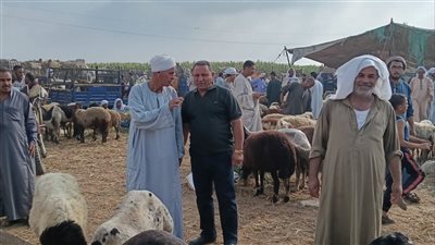 213 ألف رأس ماشية.. محافظ الجيزة يتابع نتائج الحملة القومية للتحصين 