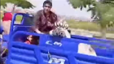 النيابة تحقق في اتهام 3 سيدات بالاستيلاء على أجولة أرز بأبو حماد