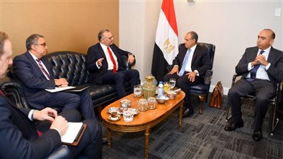وزير الخارجية: مصر تعتز بعلاقتها الاستراتيجية مع أمريكا