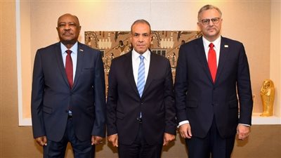 وزير الخارجية يبحث تطورات الأوضاع في السودان وسبل حل الأزمة