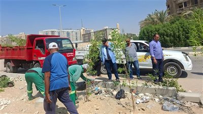 استمرار أعمال التشجير بحي المعادي ضمن مبادرات تخضير القاهرة وزراعة 100 مليون شجرة
