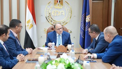الغمراوي يبحث تعزيز حضور الدواء المصري إقليميًا ودوليًا
