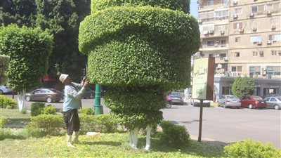 الجيزة تكثف أعمال التشجير والتجميل بالدقي والعجوزة والعمرانية وجنوب ومنيرة الغربية