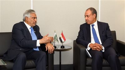 وزير الخارجية يبحث مع نظيره الباكستاني سبل التهدئة في المنطقة