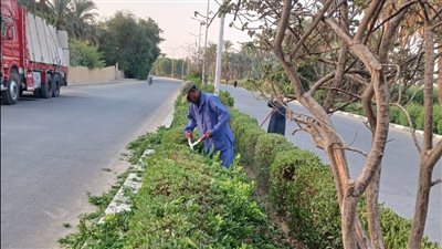 حملات مكثفة بمدينة الطود بالأقصر لإزالة التعديات ورفع كفاءة النظافة 