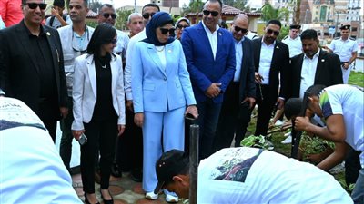 انتظام مبادرة 
