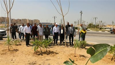 محافظ القاهرة: تنفيذ خطة التشجير وفق رؤية علمية وبالاستعانة بالخبراء والمتخصصين