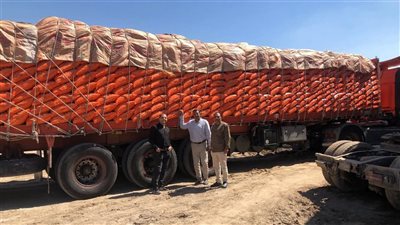 ضبط 60 طن أسمدة مدعمة قبل تهريبها بالفيوم 