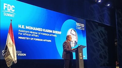 الخارجية: الذكاء الاصطناعي والتحول الرقمي يفتحان أبوابًا جديدة للتعاون مع أفريقيا
