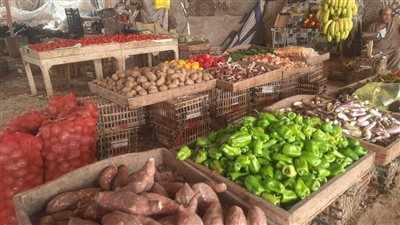 محافظ الغربية يتابع أسواق اليوم الواحد بالمراكز والمدن