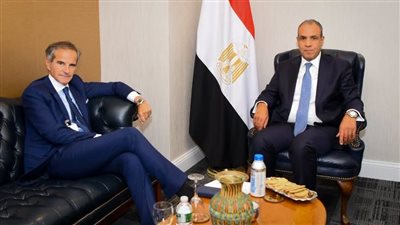 وزير الخارجية يلتقي المدير العام للوكالة الدولية للطاقة الذرية المرشح لمنصب سكرتير عام الأمم المتحدة