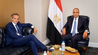 وزير الخارجية يلتقي المدير العام للوكالة الدولية للطاقة الذرية