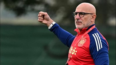 دي لا فوينتي يرفع راية التحدي: كأس العالم لا تكفي