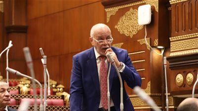 النائب حازم الجندي: كلمة رئيس الوزراء بالأمم المتحدة تعكس رؤية مصر المتكاملة لتحقيق السلام بالمنطقة