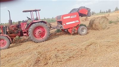 21 ألف طن قش أرز في قبضة منظومة مكافحة السحابة السوداء بالشرقية