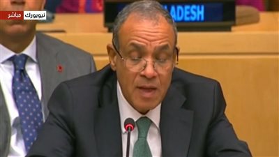 «رفض قاطع للتهجير وفصل غزة عن الضفة».. عبدالعاطي: نجدد تمسكنا بإقامة دولة فلسطينية