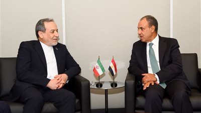 وزير الخارجية يناقش مع نظيره الإيراني الجهود المبذولة لخفض التصعيد 