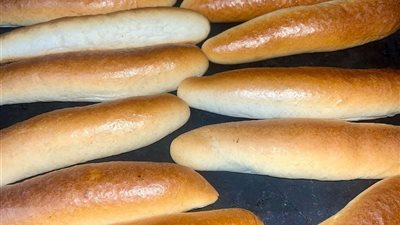 بعد ارتفاع الدقيق.. شعبة المخابز تطالب بزيادة أسعار الفينو 15%