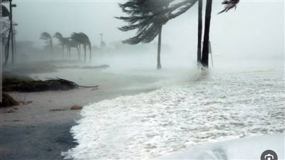 عاصفة نورايستر