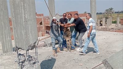  إزالة 5 حالات تعدٍ بالبناء المخالف في الشرقية