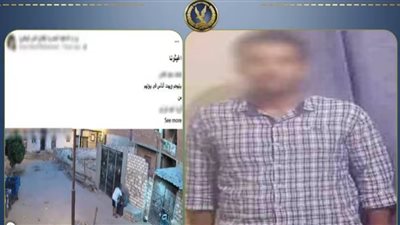 رشقها بالحجارة ونشر صورها.. ضبط عامل بتهمة التعدي على سيدة والتشهير بها في البحيرة