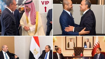 نشاط مكثف لوزير الخارجية خلال الجمعية العامة للأمم المتحدة