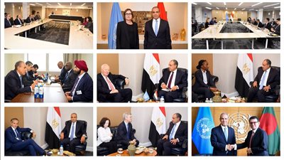 وزير الخارجية يقود تحركًا مصريًا لإصلاح الأمم المتحدة ودعم دول الجنوب