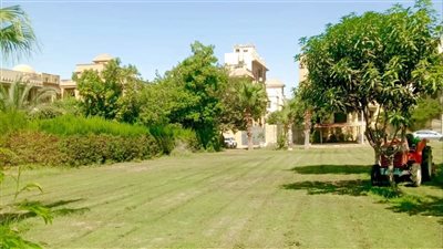 استمرار أعمال صيانة وتجميل المزروعات بمدينة 6 أكتوبر