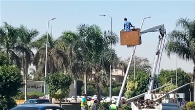 استبدال أعمدة الإنارة المتضررة بمحور جمال عبدالناصر في القاهرة الجديدة