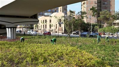 محافظ القاهرة: تخضير القاهرة الكبرى يستهدف إنشاء منظومة متكاملة للتشجير