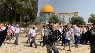 قطر تدين استمرار اقتحامات مستوطنين للمسجد الأقصى المبارك