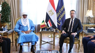 وزير الاتصالات يبحث مع نظيره المالي تطوير البنية التحتية الرقمية والذكاء الاصطناعي