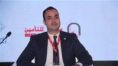 المهندس محمود ناجي، المتحدث باسم وزارة البترول والثروة المعد    