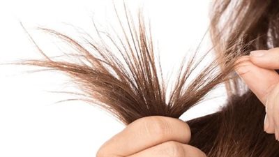 txt