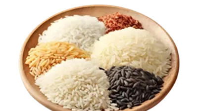 أسعار الأرز والبقوليات في أسواق كفر الشيخ  