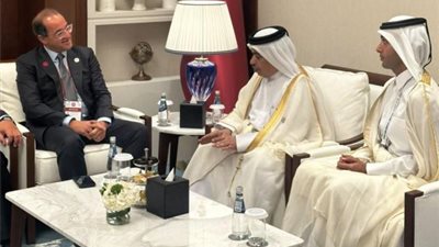 وزير المالية: تشجيع المشروعات المشتركة بين الشركات المصرية والقطرية