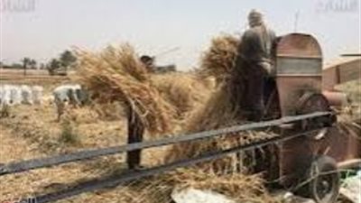 ماكينة دراس القمح تنهي حياة شاب في منشية كوم أمبو بأسوان
