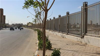 محافظ القاهرة: خطة تخضير العاصمة منظومة متكاملة لزيادة الأكسجين والحد من التلوث