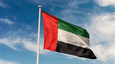 الإمارات تدين استهداف الحوثيين محطة كهرباء في المدينة المنورة 
