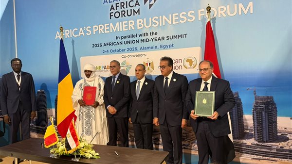جانب من الفعاليات 