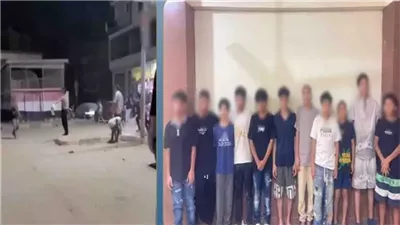 القبض على 11 طالبا تعدوا على بعضهم في الغربية